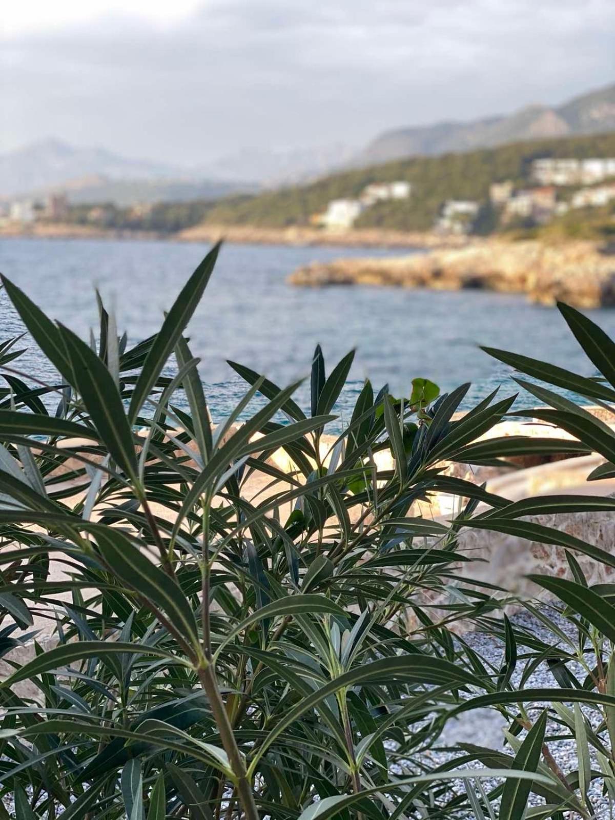 Seastar Eco Villa Utjeha Zewnętrze zdjęcie